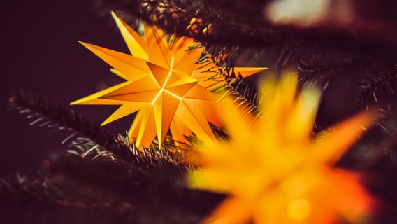 Herrnhuter Sterne in einem Weihnachtsbaum © Photocase Foto: Jonathan Schöps