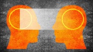 Eine Grafik bildet zwei orangene Köpfe ab. In diesen steht jeweils ein gelber Kreis auf Höhe des Gehirns. Von Kreis zu Kreis widerum führt ein transparent weißer Balken. Der Hintergrund ist grau. © IMAGO / Panthermedia 