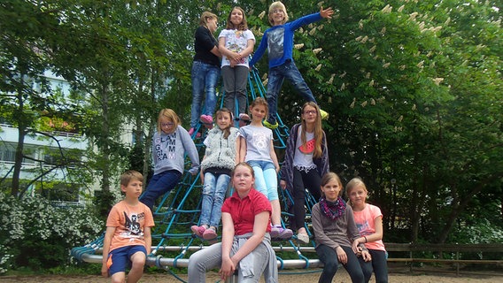 Die Kinder der Klasse 3k der Schule am alten Markt in Rostock posieren auf einem Klettergerüst. © NDR Foto: Jantje Fischhold