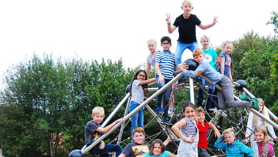Die Schüler der Klasse 4 der Maria-Montessori-Grundschule in Meppen posieren auf einem Klettergerüst für ein Gruppenbild. © NDR Foto: Florian Jacobsen