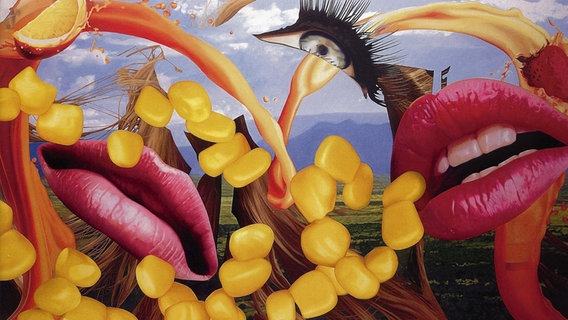 Abbildung des Bildes "Lips" von Jeff Koons. © picture-alliance / SCHROE'WIG/Eva Schroeder-Oertwig Foto: SCHROE'WIG/Eva Schroeder-Oertwig