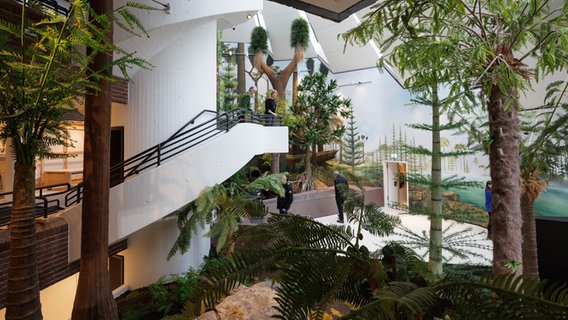 Blick auf die Nachbildung von einen Karbonwald in einem hohen Raum des Naturkundemuseums Schölerberg. © picture alliance/dpa | Friso Gentsch 