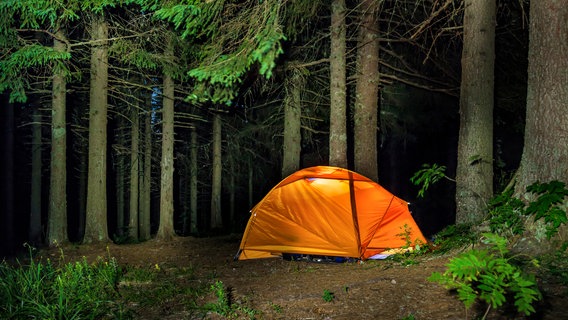 Umgeben von hohen, dunklen Nadelbäumen steht ein kleines, orangenes Zelt im Wald. Innen leiuchtet ein Licht. © Vapi / photocase.de 