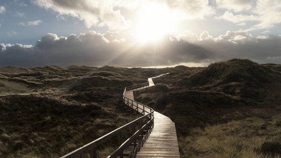 Ein Steg führt durch eine Dünenlandschaft zum Meer. © picture alliance | Knut Niehus Foto: Knut Niehus