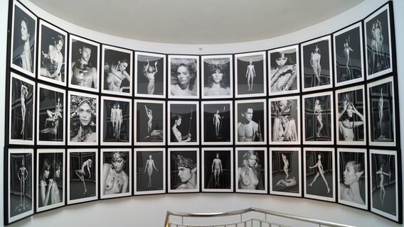 Karl Lagerfeld Ausstellung In Wedel Ndr De Kultur Kunst
