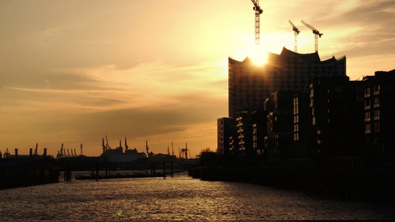 Elbphilharmonie in der Abendsonne  Foto: MCI