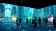 Menschen stehen in einer immersiven Lichtausstellung mit Kunst von Claude Monet (Blumen und Wasser) © KIKA Press/Cover Images 