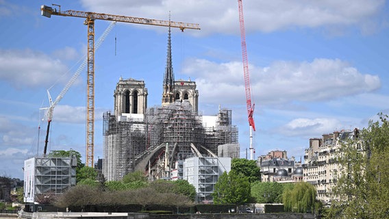 Gezicht op de Notre Dame © foto Alliance / abaca |  Blondette Elliott/ABACA Foto: Blondett Elliott