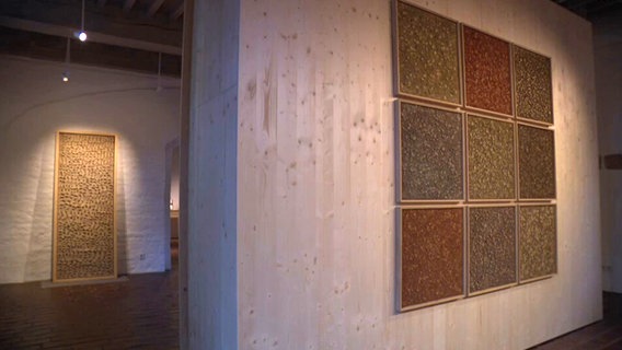 Lehmgemälde von Daniel Duchert in einer Ausstellung © Screenshot NDR 