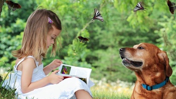 Ein kleines Mädchen sitzt auf einer Wiese und liest ein Buch, ein Hund liegt neben ihr. © Imago Foto: Stephanie Frey