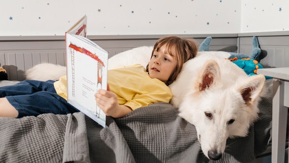Ein Junge liegt, angelehnt an einen weißen Hund, in einem Bett und liest ein Buch. © picture alliance / Westend61 | Elena Medoks 