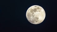 Ein voller Mond in Großaufnahme, dahinter der dunkle Nachthimmel. © picture alliance / blickwinkel/F. Hecker | F. Hecker 