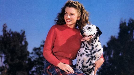 Die junge Schauspielerin Marilyn Monroe mit einem Dalmatinerhund neben sich © picture-alliance / Mary Evans Picture Library 