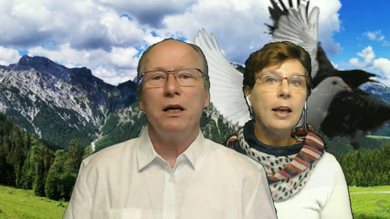 Ein Mann und eine Frau singen vor einem virtuellen Hintergrund, der eine Berglandschaft und eine weiße Taube zeigt © NDR 