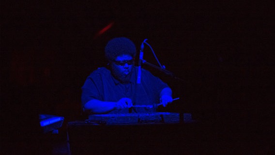 Ein Mann mit Sonnenbrille spielt Xylofon auf einer Bühne. © picture alliance / ZUMAPRESS.com | Lev Radin Foto: Lev Radin