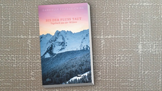 Buch-Cover: Gabrielle Filteau-Chiba - Bis der Fluss taut: Tagebuch aus der Wildnis © dtv 