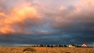 Abendhimmel über einem Getreidefeld. © picture-alliance / ZB-Fotoreport 