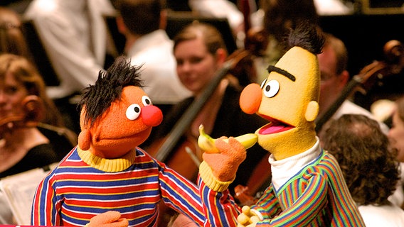 Ernie & Bert beim Sesamstraßen-Konzert mit der NDR Radiophilharmonie beim SHMF © Axel Nickolaus Foto: Axel Nickolaus