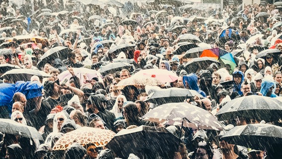 Starker Regen beim Gothic-Musikfestival M'era Luna 2023: Viele Besucher haben ihre Regenschirme aufgespannt. © NDR Foto: Benjamin Hüllenkremer