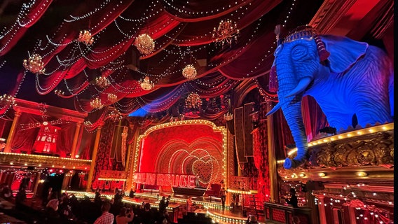 Ein riesiger blauer Elefant thront über dem Publikumsraum im "Dome" beim Musical "Moulin Rouge" © NDR Foto: Patricia Batlle