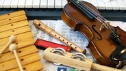 Diverse Musikinstrumente © fotolia.com Foto: koi88