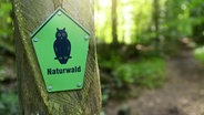 Schild "Naturwald" in einem naturbelassenen Waldstück in Scharbeutz, Schleswig-Holstein © Bildagentur-online/Ohde Foto: Bildagentur-online/Ohde