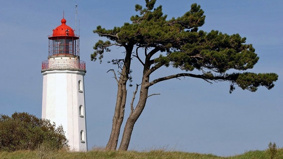 Leuchtturm auf Hiddensee © picture-alliance / ZB Foto: Peter Endig
