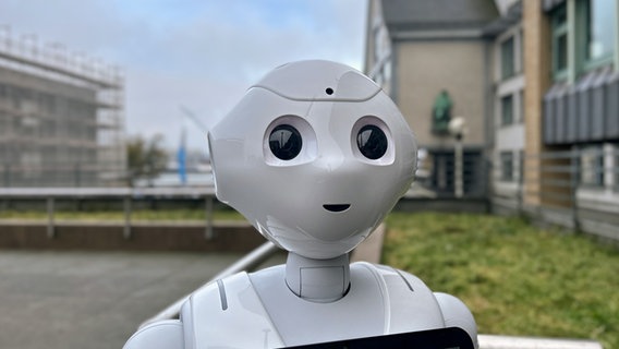Roboter Pepper befindet sich neben dem NDR Landesfunkhaus in Kiel, hiner ihm ist die Kieler Förde zu erkennen. © NDR Foto: Lornz Lorenzen