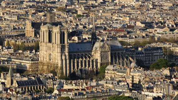 Uitzicht op de stad Parijs en de Notre Dame kathedraal © foto Alliance/imageBROKER Foto: Hermann Doppler