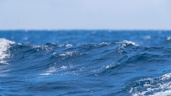 Wellen eines Ozeans © imago images / blickwinkel 