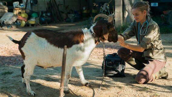Szene aus dem Film "Plötzlich aufs Land - Eine Tierärztin im Burgund" © Happy Entertainmen MT Trading UG 