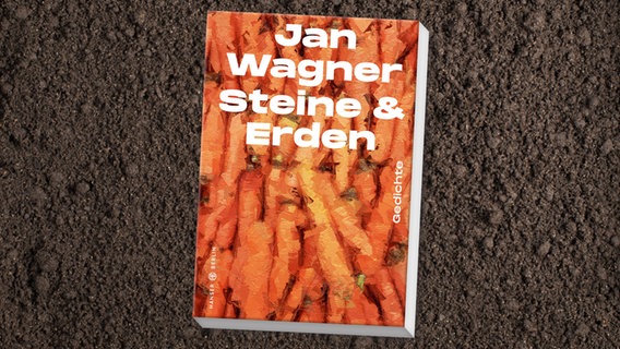 Buch-Cover: Jan Wagner - Steine & Erden © Hanser Berlin Verlag 
