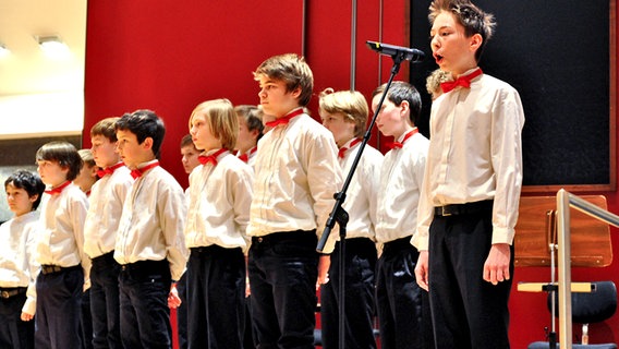 Bilder vom Konzert "Der Schneemann" mit dem NDR Sinfonieorchester unter Leitung von Dave Claesen und dem Erzähler Peter Brose mit dem Knabenchor St. Nikolai © NDR Foto: Patricia Batlle