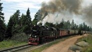 Die Schmalspurbahn fährt mit viel Dampf durch den Harz. © NDR Foto: Matthias Freund