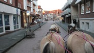 Blick vom Kutschbock über die Rücken zweier Pferde auf die vorausliegende Straße auf der Insel Juist. © NDR.de Foto: Buchholz, Helene