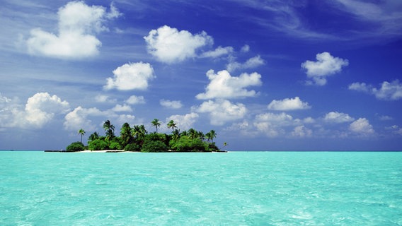 Blick auf eine einsame Insel der Malediven. © picture alliance Foto: Chad Ehlers