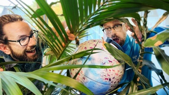 Pascal Straaten und Mathias Heller entdecken Globus, der in einer Pflanze versteckt ist. © NDR 
