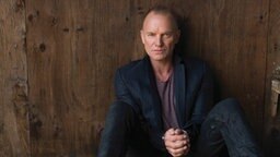 Sting sitzt an einer Holzwand © Universal Music 