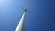 Rotorblätter einer Windkraftanlage © NDR Foto: Lukas Freund