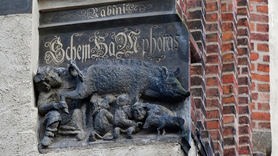Eine als "Judensau" bezeichnete mittelalterliche Schmähskulptur ist an der Außenmauer der Stadtkirche Sankt Marien in Wittenberg zu sehen. © picture alliance/dpa/dpa-Zentralbild Foto: Hendrik Schmidt