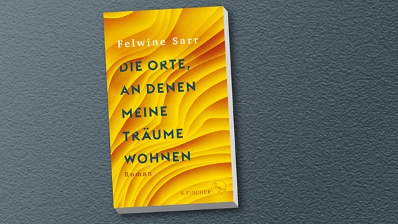 Cover von Felwine Sarr: "Die Orte, an denen meine Träume wohnen" Cover von Felwine Sarr: "Die Orte, an denen meine Träume wohnen" © S. Fischer