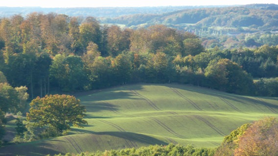 Feld und Wald am Spätnachmittag vom Aussichtsturm auf dem Holzberg in Malente-Neversfelde. © NDR Foto: Gundhild Ameln, Eutin