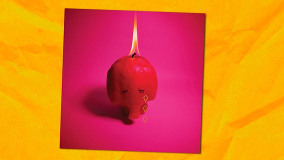 CD-Cover:  Acade Fire, "Pink Elephant" © Sony 