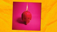 CD-Cover:  Acade Fire, "Pink Elephant" © Sony 