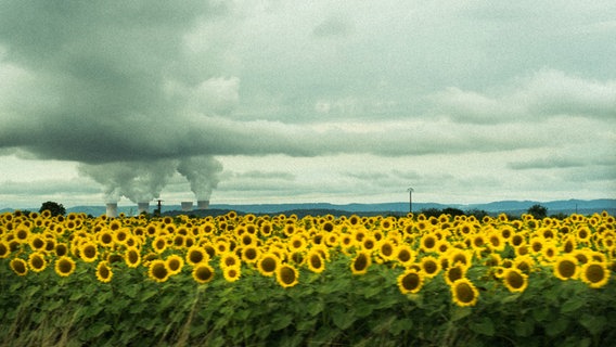 Im Vordergrund ein Feld mit Sonnenblumen, im Hintergrund ein qualmendes Atomkraftwerk. © Photocase Foto: Schlick