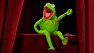 Die Froschpuppe Kermit sitzt auf einer Bühne und scheint laut zu einem großen Publlikum zu sprechen. © picture alliance / dpa Foto: Mick Tsikas