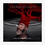 CD-Cover "uNomkhubulwane" von Nduduzo Makhathini © Blue Note 