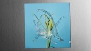 CD-Cover "Stream" von Fergus McCreadie © Edition Records 