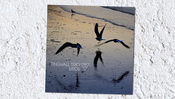 CD-Cover "Birds" vom Tingvall Trio © Skip Records 