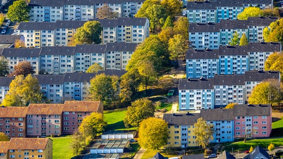 Luftbild auf eine Reihenhaussiedlung. © IMAGO/Hans Blossey 